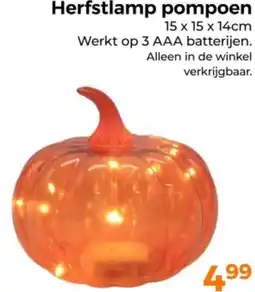 Trekpleister Herfstlamp pompoen aanbieding