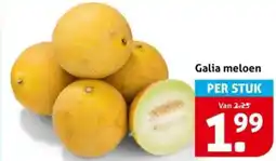 Hoogvliet Galia meloen aanbieding