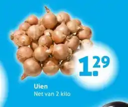 Hoogvliet Uien aanbieding