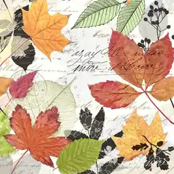 Marskramer Duni servetten herbarium 33x33cm aanbieding
