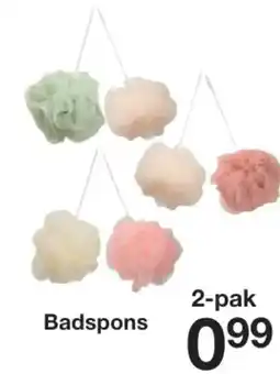 Zeeman Badspons aanbieding