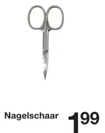 Zeeman Nagelschaar 139 aanbieding