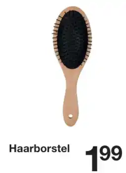 Zeeman Haarborstel aanbieding