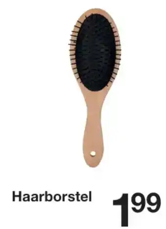 Zeeman Haarborstel aanbieding