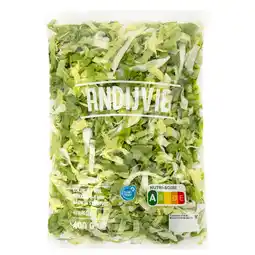 Dekamarkt Andijvie grof aanbieding