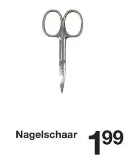 Zeeman Nagelschaar aanbieding
