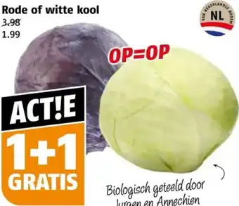 Poiesz Rode of witte kool aanbieding