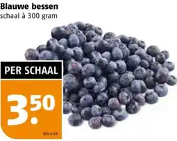 Poiesz Blauwe bessen aanbieding