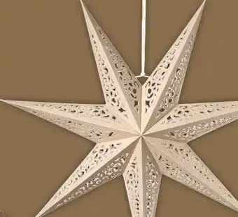 Xenos Kerstster papier aanbieding