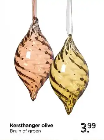 Xenos Kersthanger olive aanbieding