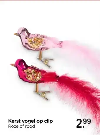 Xenos Kerst vogel op clip aanbieding