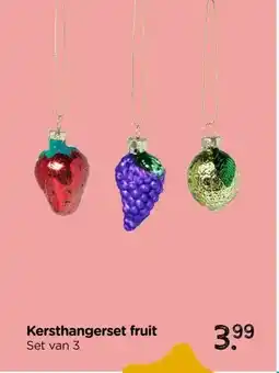 Xenos Kersthangerset fruit aanbieding