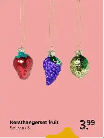 Xenos Kersthangerset fruit aanbieding