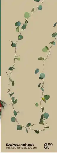 Xenos Eucalyptus guirlande aanbieding
