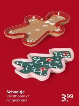 Xenos Schaaltje aanbieding