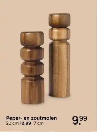 Xenos Peper- en zoutmolen aanbieding
