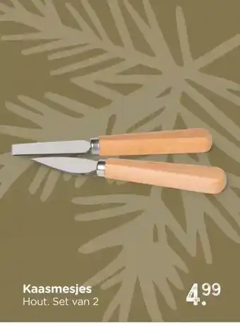 Xenos Kaasmesjes aanbieding