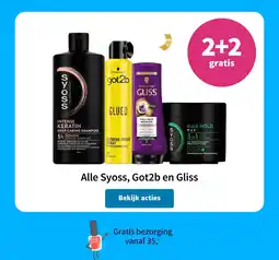 Plein.nl Alle Syoss, Got2b en Gliss aanbieding