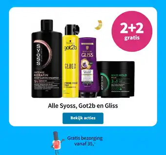 Plein.nl Alle Syoss, Got2b en Gliss aanbieding