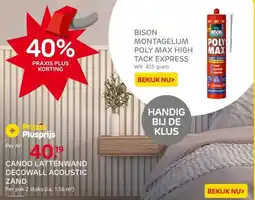 Praxis CanDo Lattenwand Decowall Acoustic Ton aanbieding