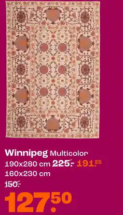 Kwantum Winnipeg Multicolor aanbieding