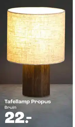 Kwantum Tafellamp Propus aanbieding
