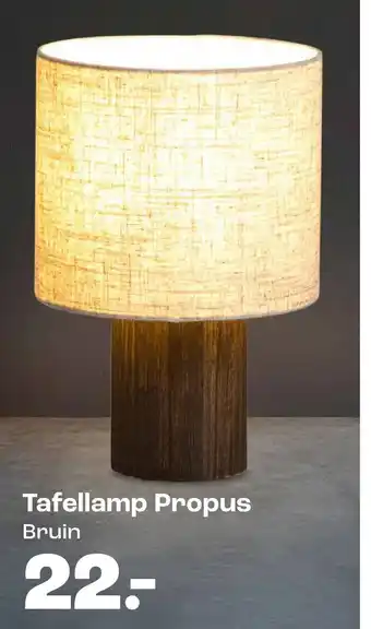 Kwantum Tafellamp Propus aanbieding