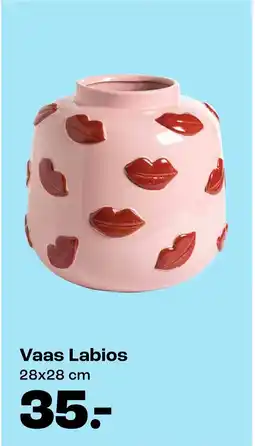 Kwantum Vaas Labios aanbieding
