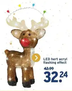 GAMMA LED hert acryl flashing effect aanbieding
