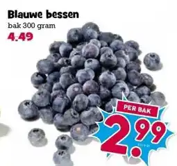 Boon`s Markt Blauwe bessen aanbieding