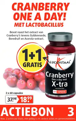 Lucovitaal CRANBERRY ONE A DAY! MET LACTOBACILLUS aanbieding