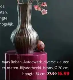 Intratuin Vaas Boban. aanbieding