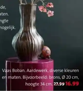 Intratuin Vaas Boban. aanbieding