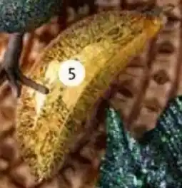 Intratuin Ornament banaan aanbieding