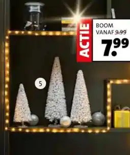 Intratuin Boom aanbieding