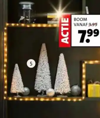 Intratuin Boom aanbieding