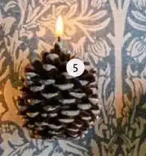 Intratuin Ledkaars dennenappel aanbieding