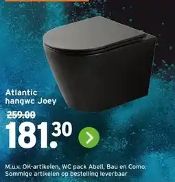 GAMMA Atlantic hangwc Joey aanbieding