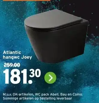 GAMMA Atlantic hangwc Joey aanbieding