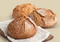 Ekoplaza BRODEN aanbieding