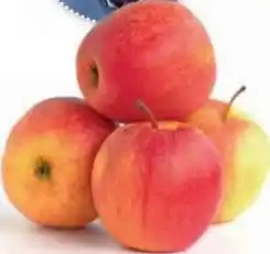 Ekoplaza ELSTAR APPEL aanbieding