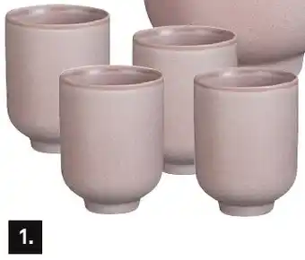 Karwei Theo-Bert Pot bekers aanbieding