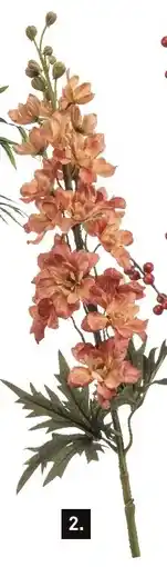 Karwei Delphinium spray aanbieding