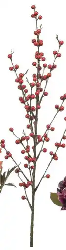 Karwei Ilex berry spray aanbieding