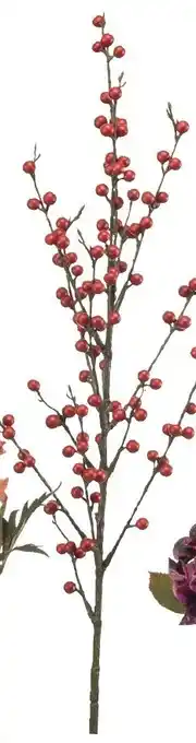 Karwei Ilex berry spray aanbieding