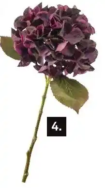 Karwei Hydrangea stem aanbieding