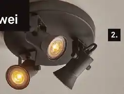 Karwei KARWEI triospot Mic aanbieding