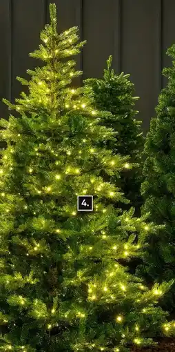 Karwei Kunstkerstboom Minnesota aanbieding