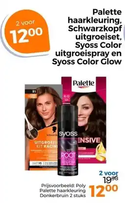 Trekpleister Palette haarkleuring. Schwarzkopf uitgroeiset, Syoss Color uitgroeispray en Syoss Color Clow aanbieding