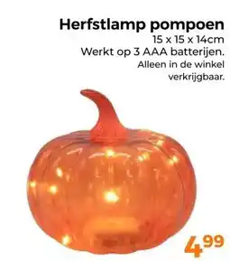 Trekpleister Herfstlamp pompoen aanbieding